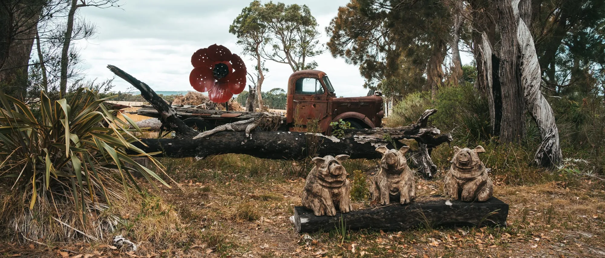 A carved timber sculpture along the Chainsaw Sculpture Drive in Albany, Western Australia.