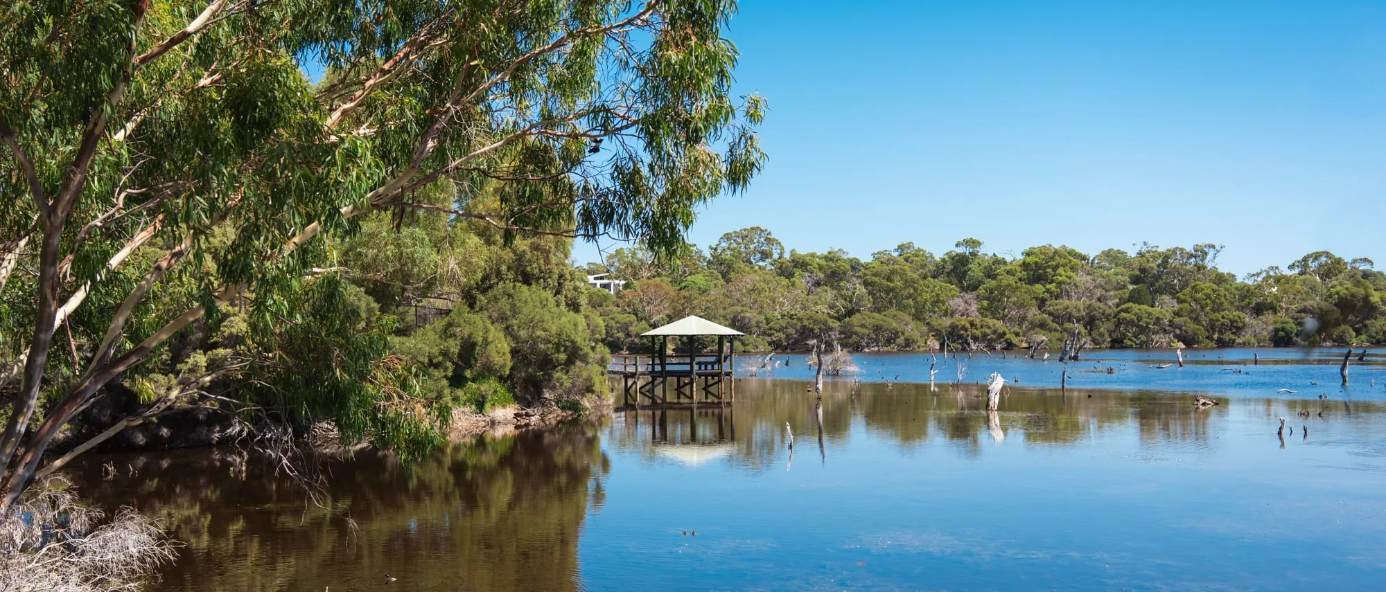Solving clues and exploring hidden gems on a self-guided Mystery Picnic date through Claremont.