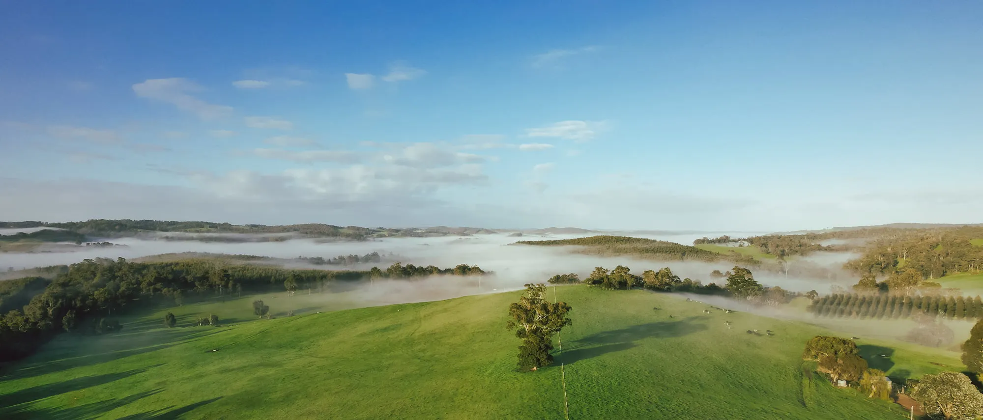 The rolling green hills and wineries of the Ferguson Valley, south of Perth.