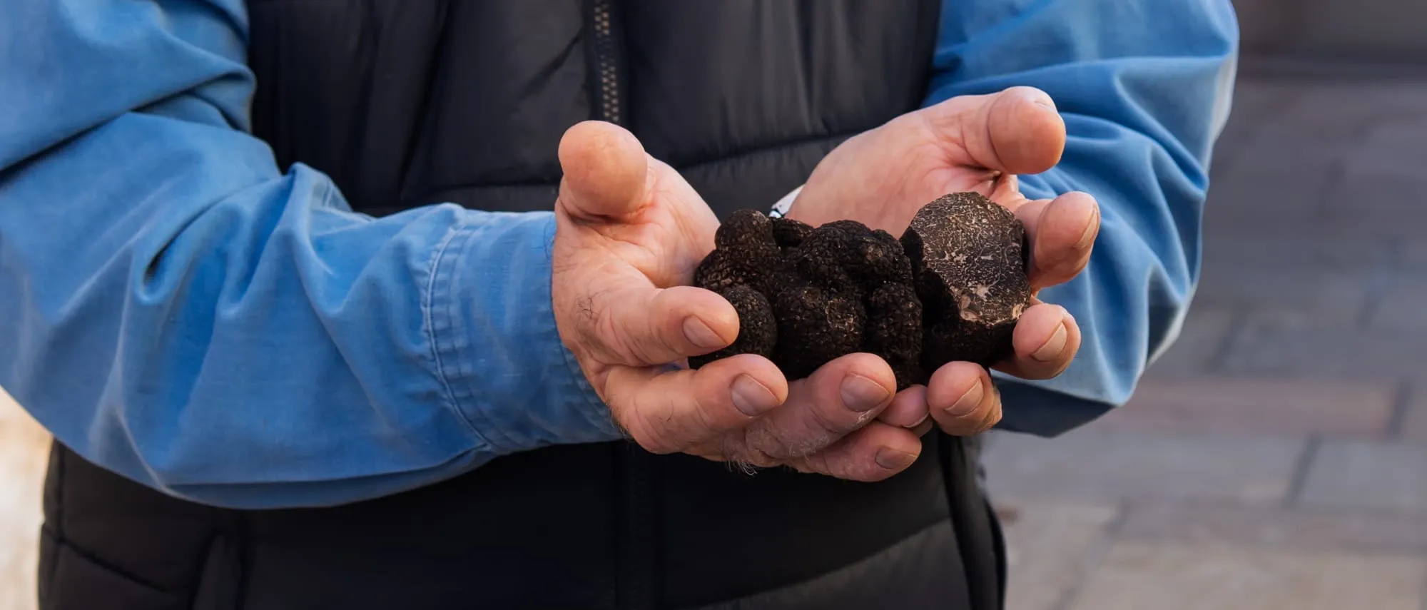 Truffle-themed food and produce on display at the Fremantle Truffle Festival.