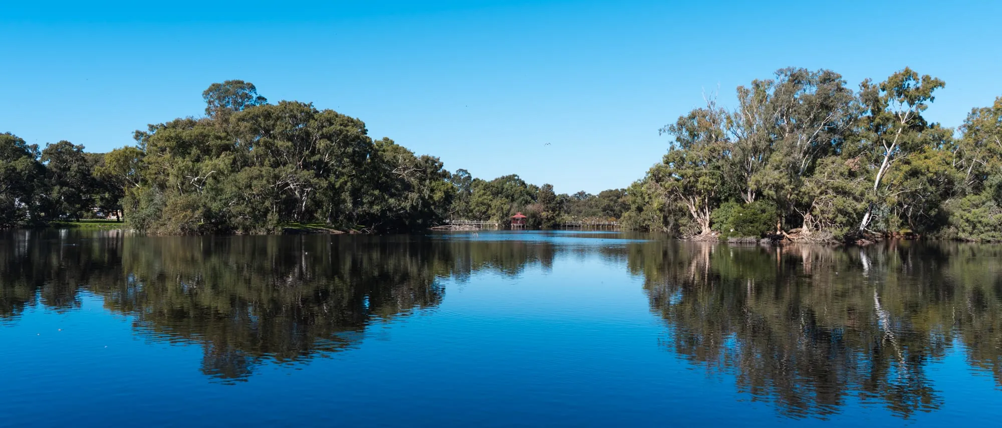 Tomato Lake Reserve in Kewdale, a peaceful lakeside park with walking trails and picnic spots.