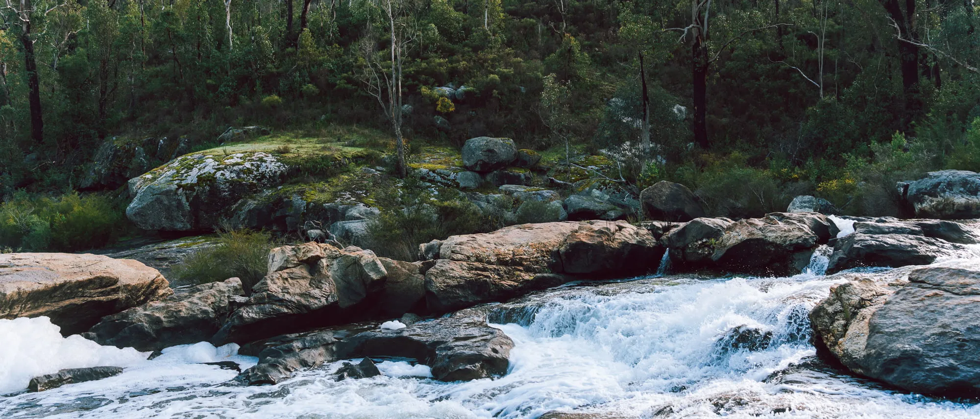 Wellington National Park, a beautiful valley gorge just two hours from Perth.